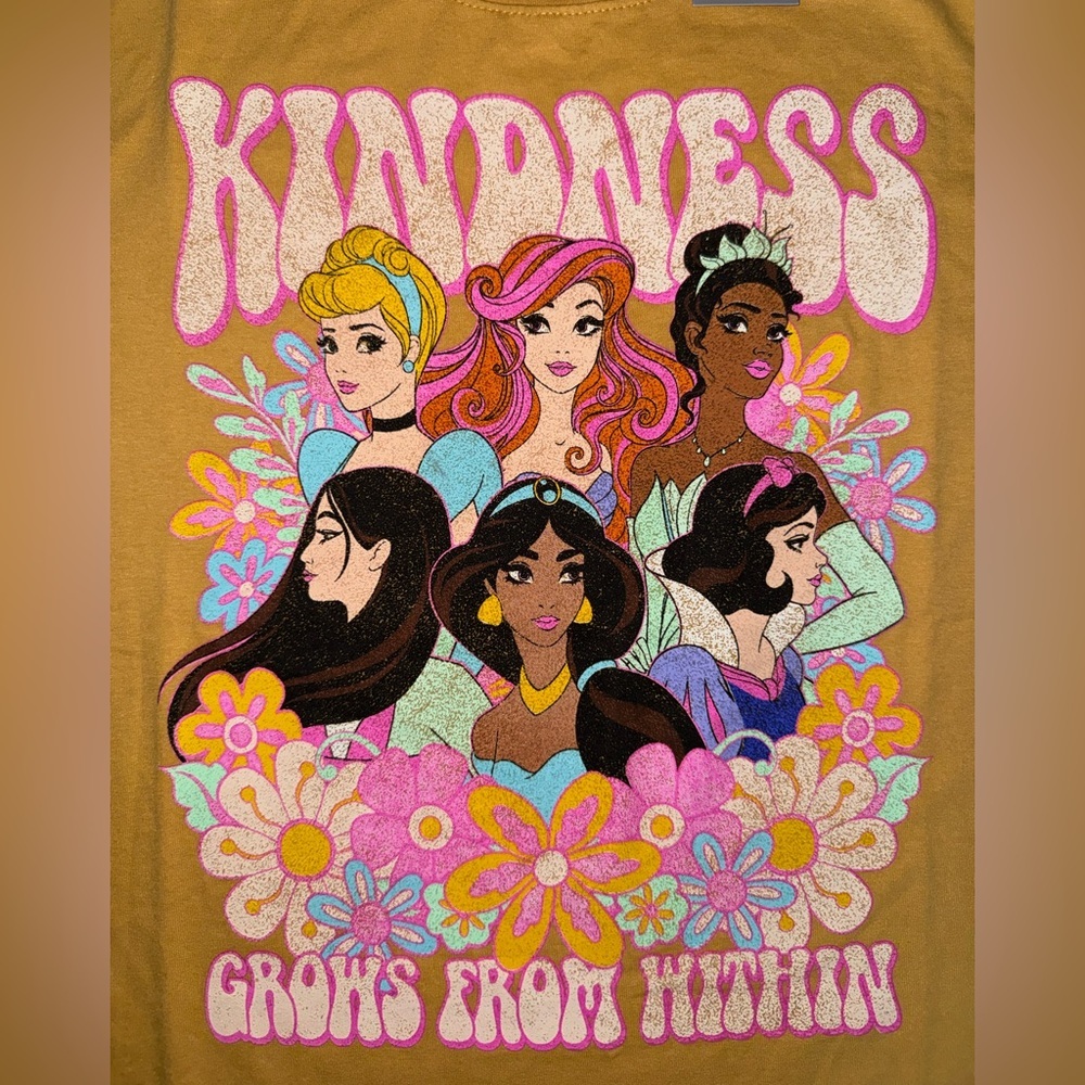 🏰 NWT! Disney Princess Kindness Tshirt